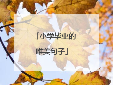 小学毕业的唯美句子
