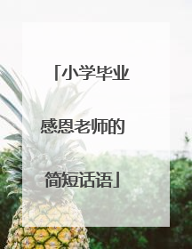 小学毕业感恩老师的简短话语