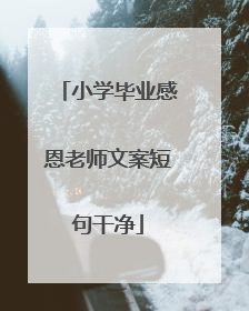 小学毕业感恩老师文案短句干净