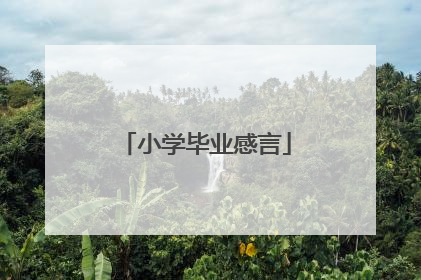 小学毕业感言