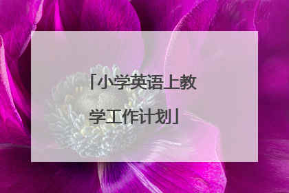 小学英语上教学工作计划