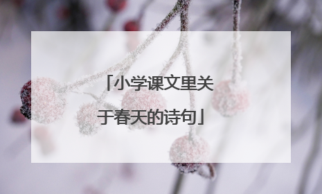 小学课文里关于春天的诗句