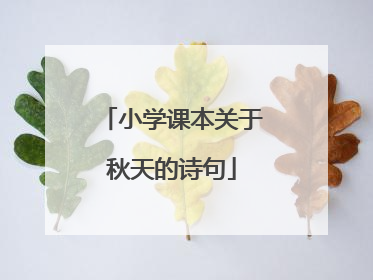 小学课本关于秋天的诗句