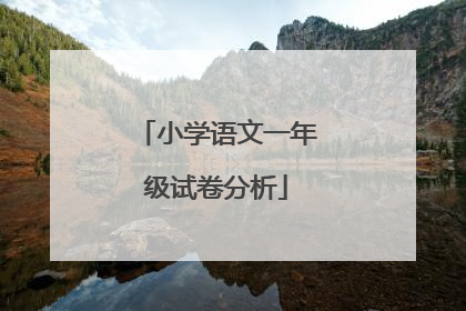 小学语文一年级试卷分析