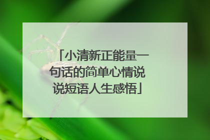 小清新正能量一句话的简单心情说说短语人生感悟