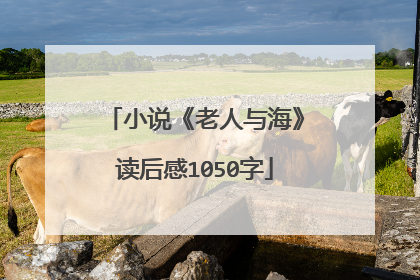 小说《老人与海》读后感1050字
