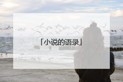 小说的语录