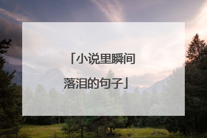 小说里瞬间落泪的句子