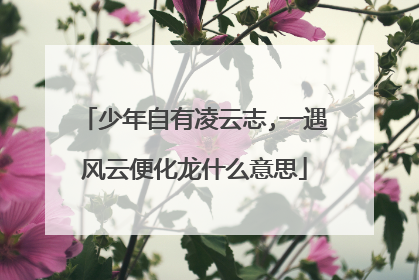 少年自有凌云志,一遇风云便化龙什么意思