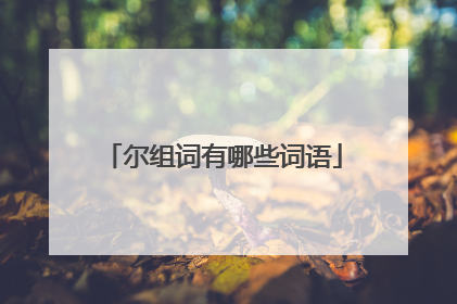 尔组词有哪些词语