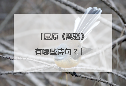屈原《离骚》有哪些诗句?