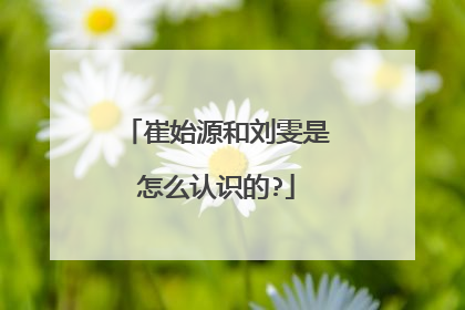崔始源和刘雯是怎么认识的?