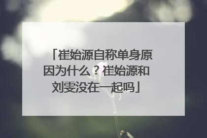 崔始源自称单身原因为什么？崔始源和刘雯没在一起吗