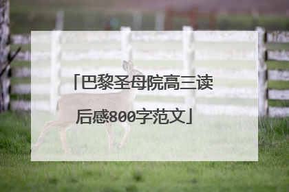 巴黎圣母院高三读后感800字范文