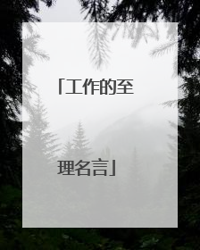工作的至理名言