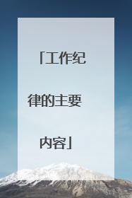 工作纪律的主要内容