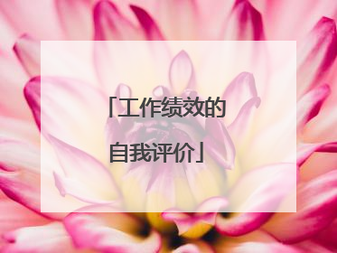 工作绩效的自我评价