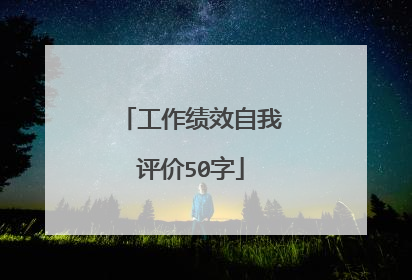 工作绩效自我评价50字