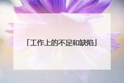 工作上的不足和缺陷
