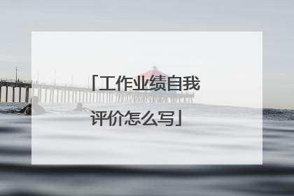 工作业绩自我评价怎么写