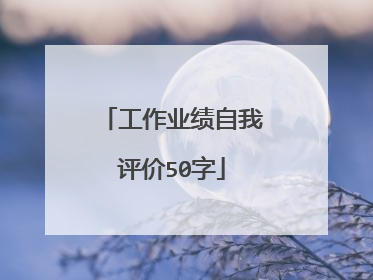 工作业绩自我评价50字