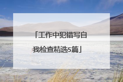 工作中犯错写自我检查精选5篇