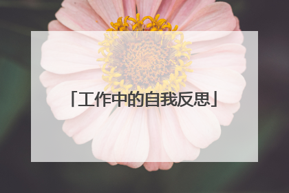 工作中的自我反思