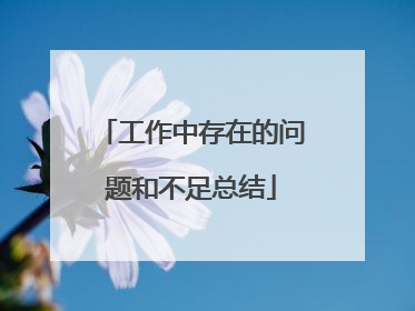 工作中存在的问题和不足总结