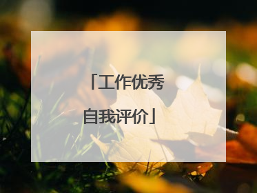 工作优秀自我评价