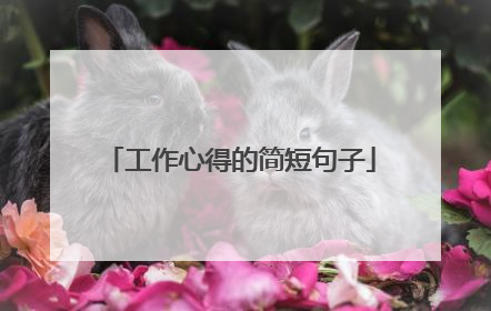 工作心得的简短句子