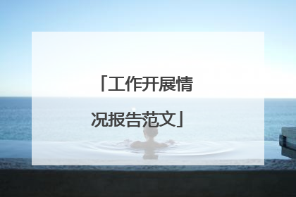 工作开展情况报告范文
