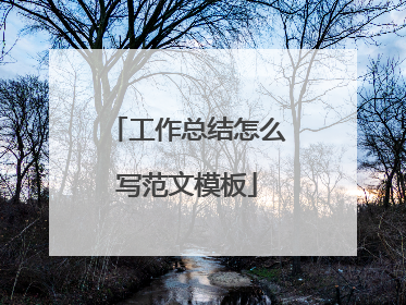 工作总结怎么写范文模板