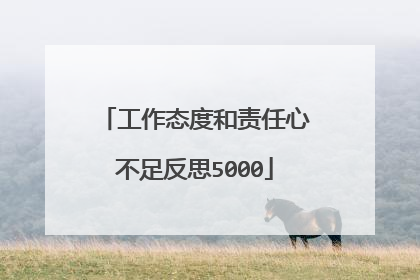 工作态度和责任心不足反思5000