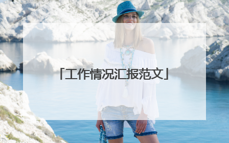 工作情况汇报范文