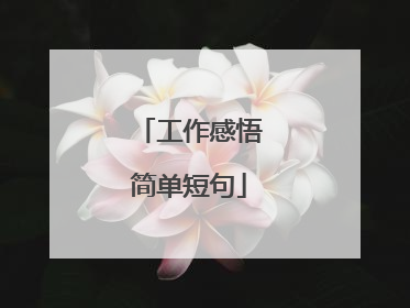 工作感悟简单短句