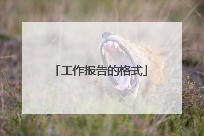 工作报告的格式
