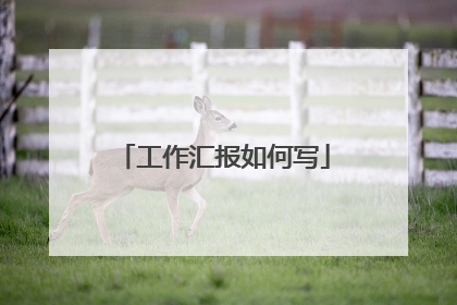 工作汇报如何写