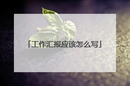 工作汇报应该怎么写