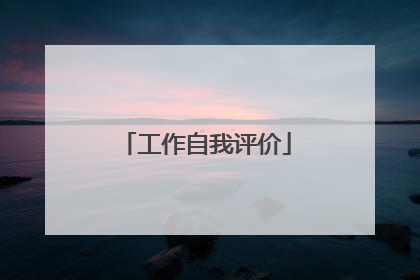 工作自我评价