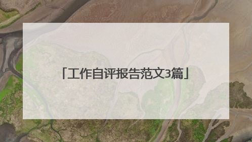 工作自评报告范文3篇