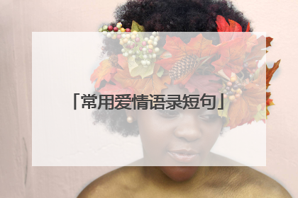 常用爱情语录短句