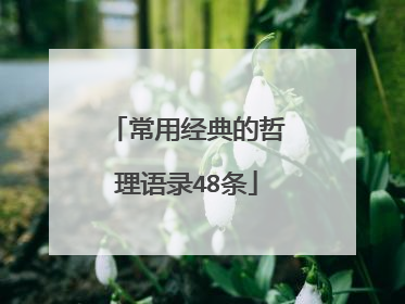 常用经典的哲理语录48条