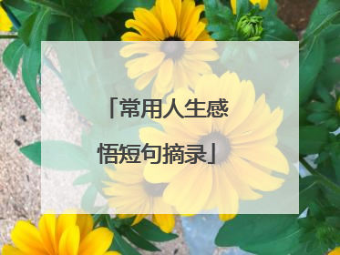 常用人生感悟短句摘录