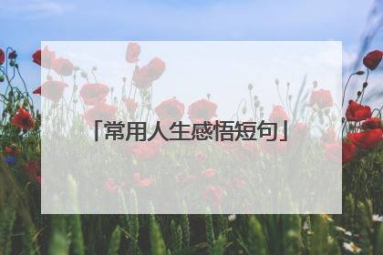 常用人生感悟短句