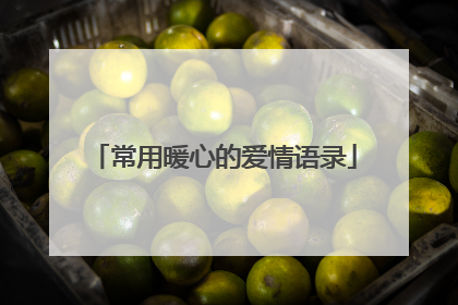 常用暖心的爱情语录