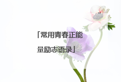常用青春正能量励志语录