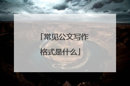 常见公文写作格式是什么