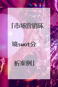 市场营销环境swot分析案例