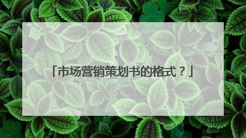市场营销策划书的格式?
