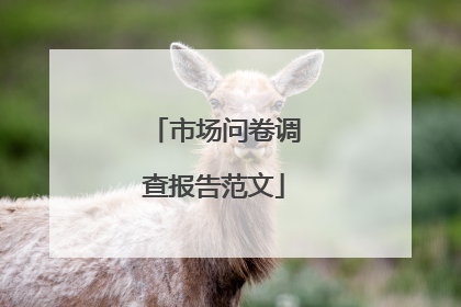 市场问卷调查报告范文